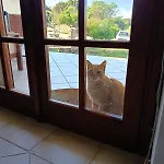 Villino Sul Mare Nord Sardegna Ferienhaus *